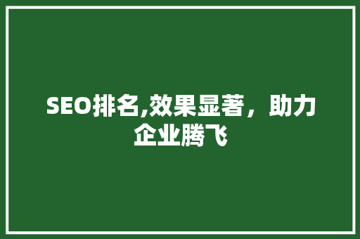 SEO排名,效果显著，助力企业腾飞