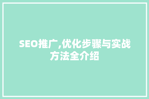 SEO推广,优化步骤与实战方法全介绍