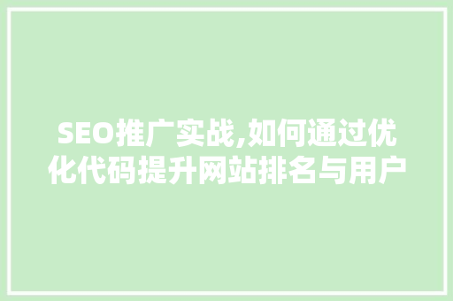 SEO推广实战,如何通过优化代码提升网站排名与用户体验