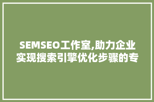 SEMSEO工作室,助力企业实现搜索引擎优化步骤的专家