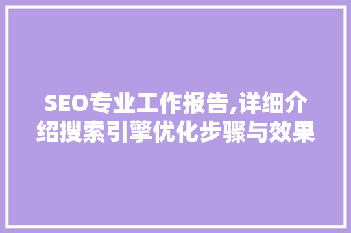 SEO专业工作报告,详细介绍搜索引擎优化步骤与效果