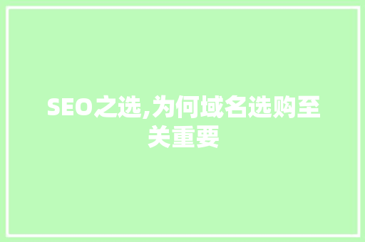 SEO之选,为何域名选购至关重要