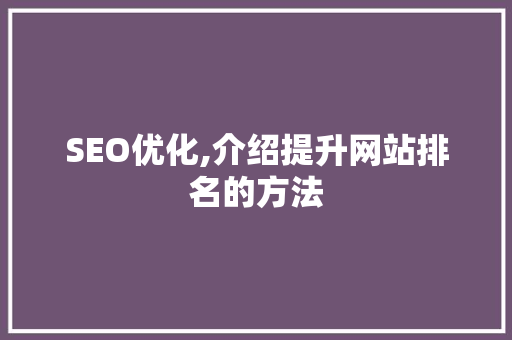 SEO优化,介绍提升网站排名的方法