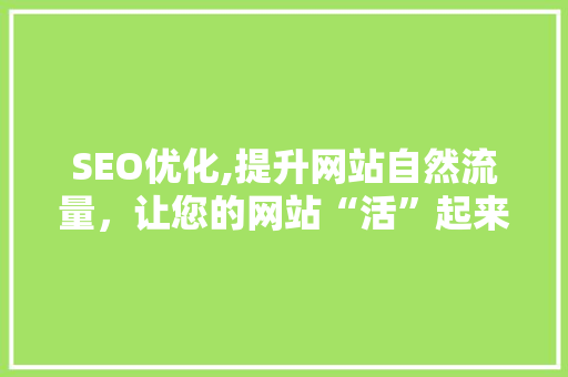 SEO优化,提升网站自然流量，让您的网站“活”起来！