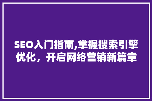 SEO入门指南,掌握搜索引擎优化，开启网络营销新篇章