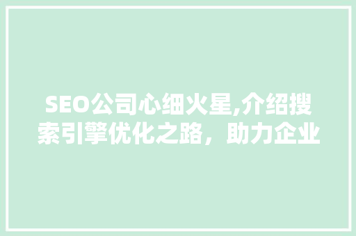 SEO公司心细火星,介绍搜索引擎优化之路，助力企业腾飞