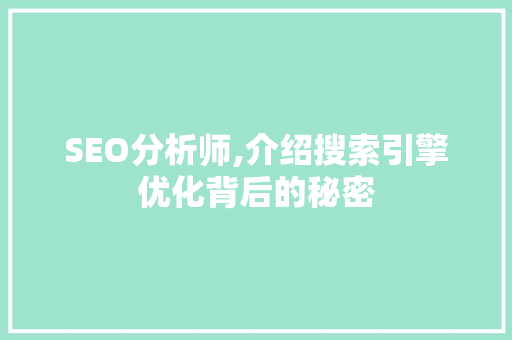 SEO分析师,介绍搜索引擎优化背后的秘密