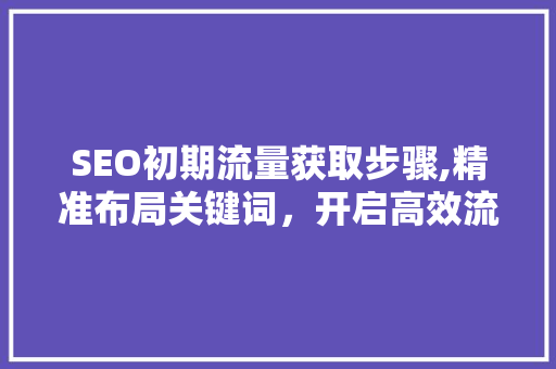 SEO初期流量获取步骤,精准布局关键词，开启高效流量之路