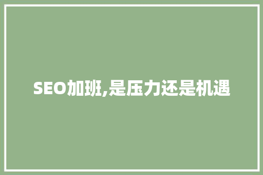 SEO加班,是压力还是机遇