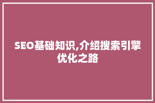 SEO基础知识,介绍搜索引擎优化之路