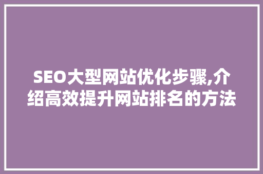 SEO大型网站优化步骤,介绍高效提升网站排名的方法