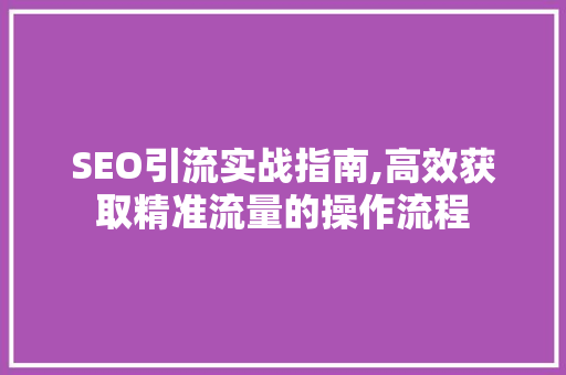 SEO引流实战指南,高效获取精准流量的操作流程