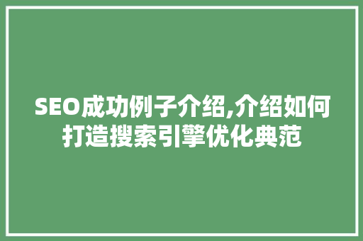 SEO成功例子介绍,介绍如何打造搜索引擎优化典范