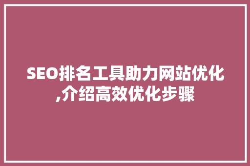 SEO排名工具助力网站优化,介绍高效优化步骤