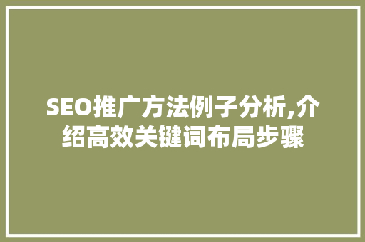 SEO推广方法例子分析,介绍高效关键词布局步骤