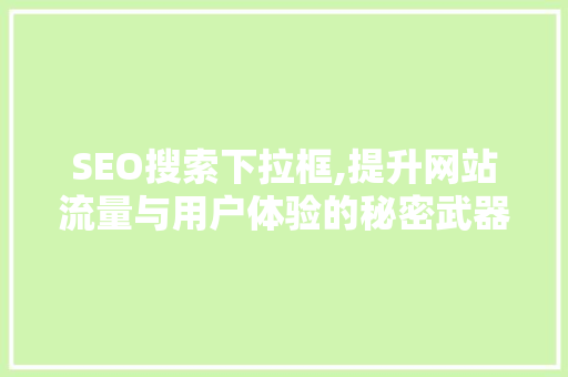 SEO搜索下拉框,提升网站流量与用户体验的秘密武器