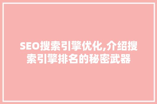 SEO搜索引擎优化,介绍搜索引擎排名的秘密武器