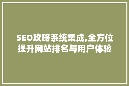SEO攻略系统集成,全方位提升网站排名与用户体验