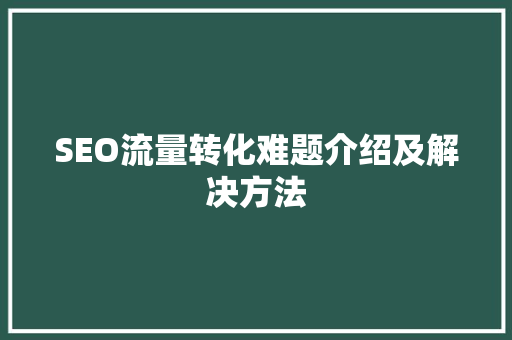 SEO流量转化难题介绍及解决方法