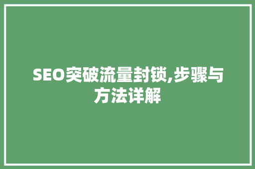 SEO突破流量封锁,步骤与方法详解