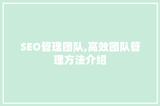 SEO管理团队,高效团队管理方法介绍