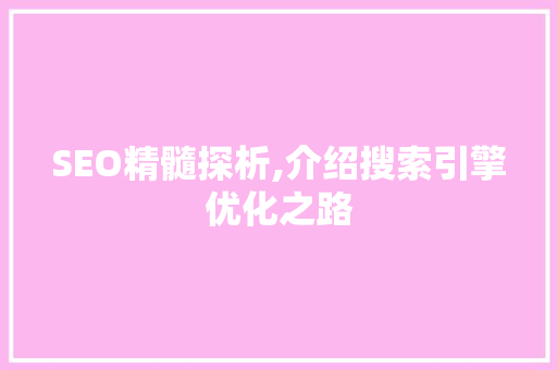 SEO精髓探析,介绍搜索引擎优化之路