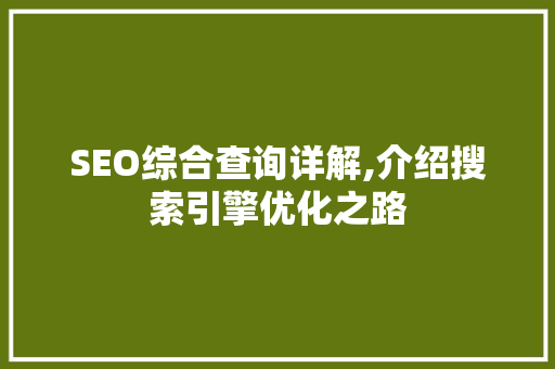 SEO综合查询详解,介绍搜索引擎优化之路