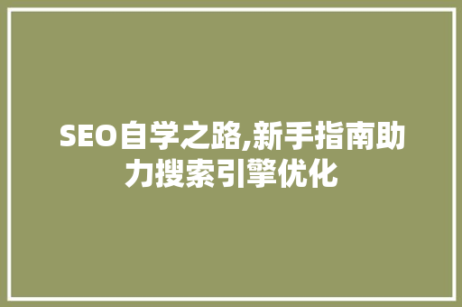SEO自学之路,新手指南助力搜索引擎优化