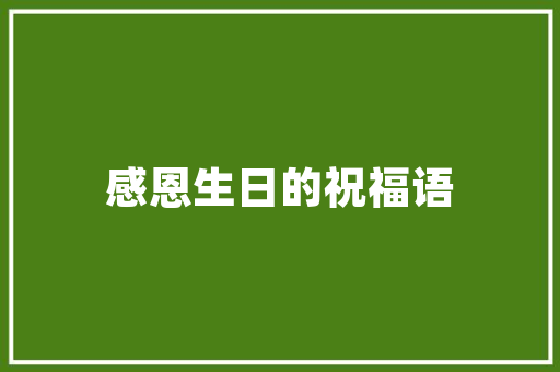 SEO营销顾问,引领企业互联网营销新潮流