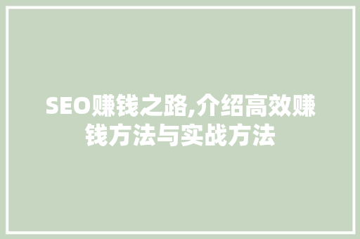 SEO赚钱之路,介绍高效赚钱方法与实战方法