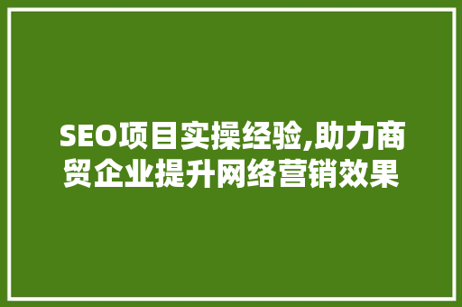 SEO项目实操经验,助力商贸企业提升网络营销效果