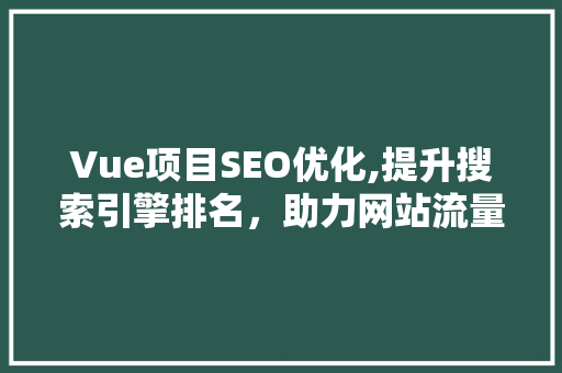 Vue项目SEO优化,提升搜索引擎排名，助力网站流量增长