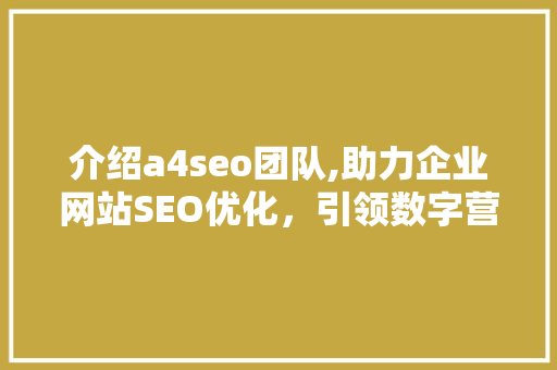 介绍a4seo团队,助力企业网站SEO优化，引领数字营销新潮流