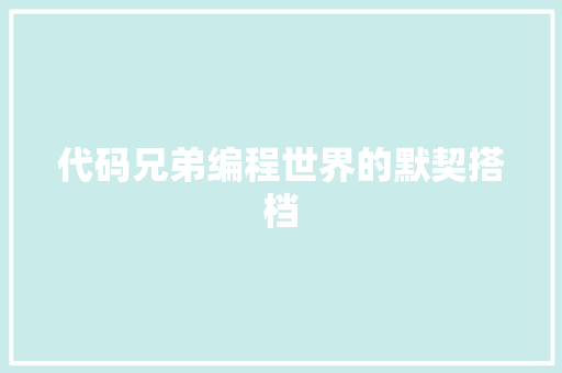 代码兄弟编程世界的默契搭档