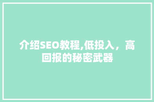 介绍SEO教程,低投入，高回报的秘密武器