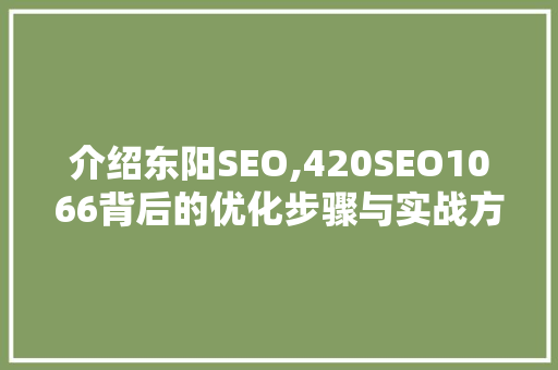 介绍东阳SEO,420SEO1066背后的优化步骤与实战方法