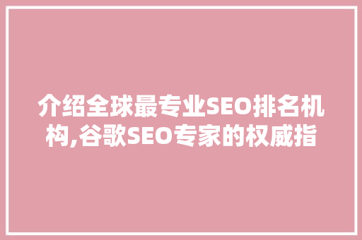 介绍全球最专业SEO排名机构,谷歌SEO专家的权威指南