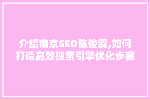 介绍南京SEO陈俊霖,如何打造高效搜索引擎优化步骤
