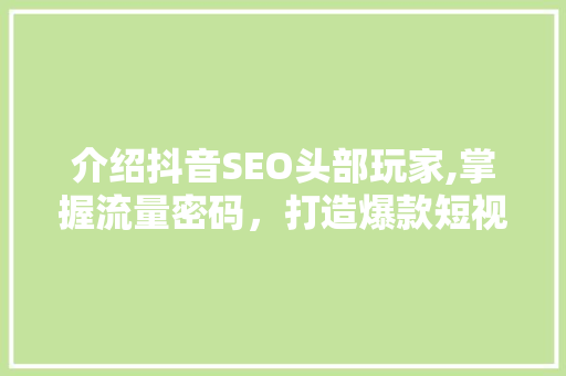介绍抖音SEO头部玩家,掌握流量密码，打造爆款短视频