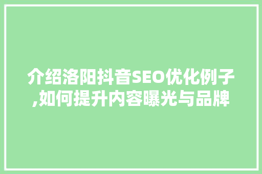 介绍洛阳抖音SEO优化例子,如何提升内容曝光与品牌知名度