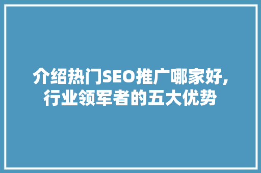 介绍热门SEO推广哪家好,行业领军者的五大优势