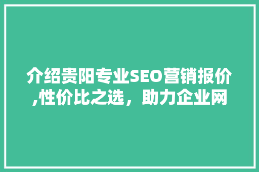 介绍贵阳专业SEO营销报价,性价比之选，助力企业网络腾飞