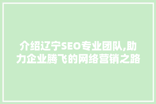 介绍辽宁SEO专业团队,助力企业腾飞的网络营销之路