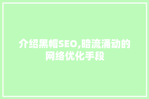 介绍黑帽SEO,暗流涌动的网络优化手段