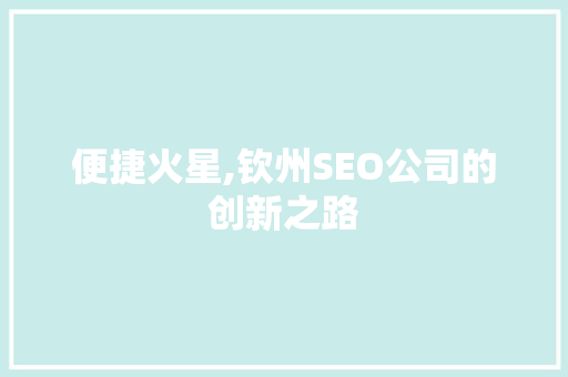 便捷火星,钦州SEO公司的创新之路