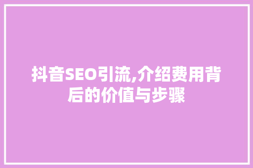 抖音SEO引流,介绍费用背后的价值与步骤