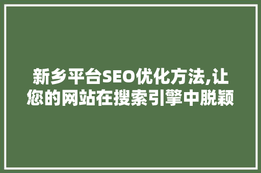 新乡平台SEO优化方法,让您的网站在搜索引擎中脱颖而出