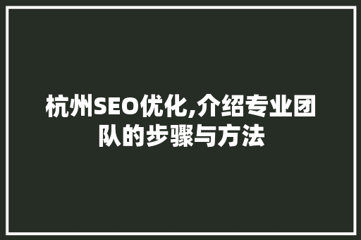 杭州SEO优化,介绍专业团队的步骤与方法