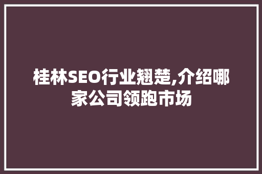 桂林SEO行业翘楚,介绍哪家公司领跑市场