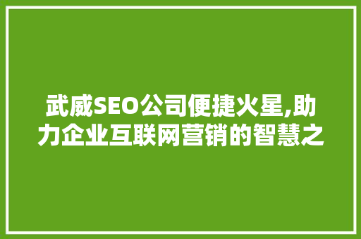 武威SEO公司便捷火星,助力企业互联网营销的智慧之光  第1张